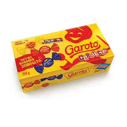 Caixa Bombom Garoto Sortido 250gr