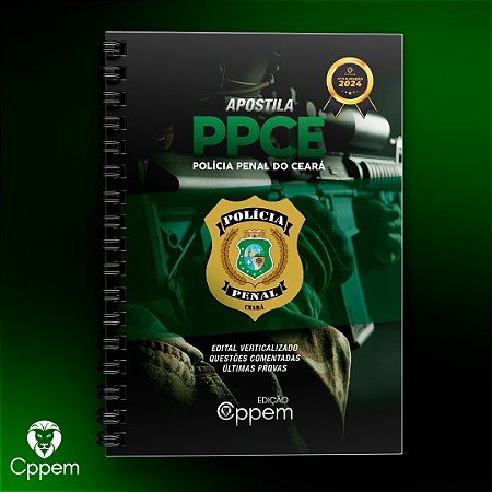 Resumo Bizurado Físico | PP-CE