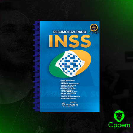 Resumo Bizurado Fisico | INSS