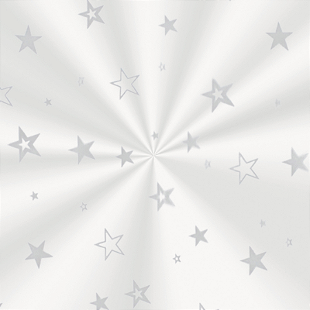 POLI TRANSPARENTE ESTRELA PRATA 11X19,5CM PCT C/50 UN CROMUS
