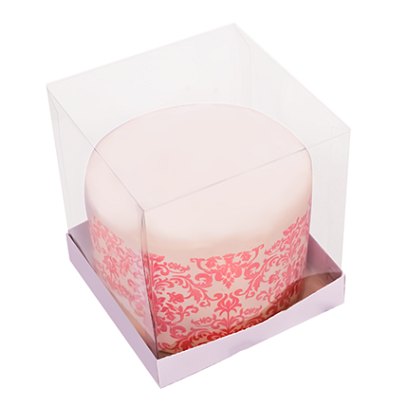 10 CAIXAS TAMPA TRANSPARENTE ESSENCIAL 15X15x15 C5270 IDEIA