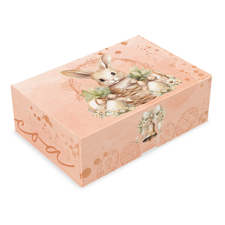 10 CX 6 DOCES PRACTICE - COELHINHO ENCANTADO C5382 IDEIA