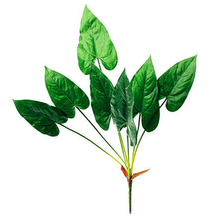 BUQUÊ DE COSTELA DE ADÃO C/ 7 FOLHAS 76CM VERDE CROMUS