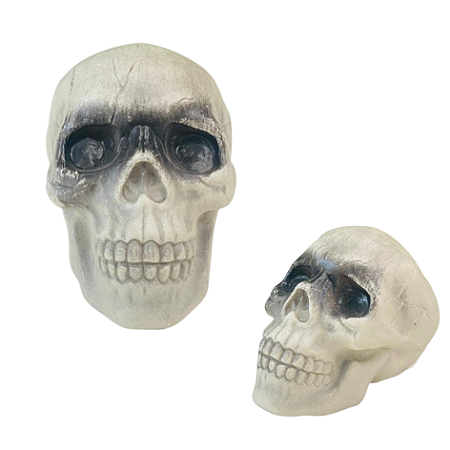 CRANIO DECORATIVO HALLOWEEN 11 X 8 CM BRFESTAS