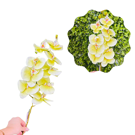 Haste De Orquídea 95cm Verde C/ 1un Cromus