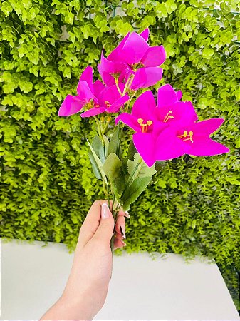 Buque Buganvilia 35cm Cromus