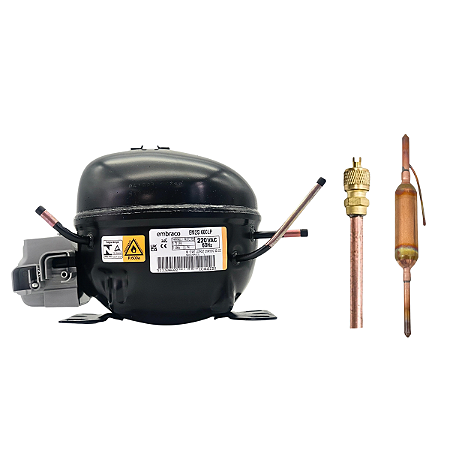 Motor Compressor 1/6 HP EM2S60CLP Gás R600 Embraco 220V