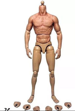 Corpo Body Truetype  Zc Toys Muscular 2.0