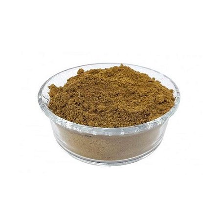 Ginkgo biloba em pó - Pacote 100G
