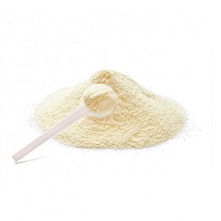 Leite em pó integral - Pacote 100G