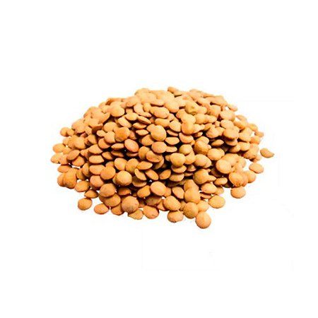 Lentilha canadense - Pacote 100G