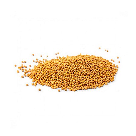 Mostarda grão amarela - Pacote 100G