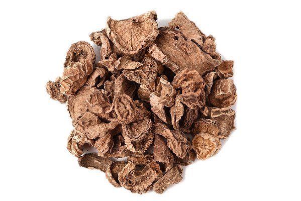 Garra do Diabo Raiz Harpagophytum - Pacote 100G