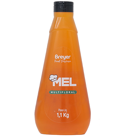 Mel Bisnaga 1,1 KG Multifloral Breyer