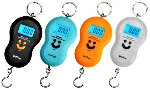 Balança Digital 50 Kg Portátil Com Gancho SQ3314