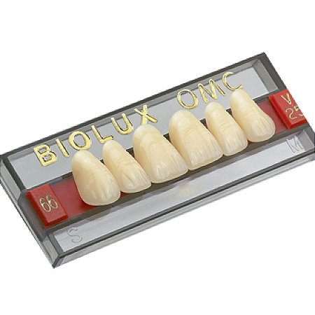DENTE ACRÍLICO BIOLUX OMC