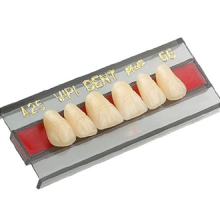 DENTE ACRÍLICO VIPI DENT PLUS