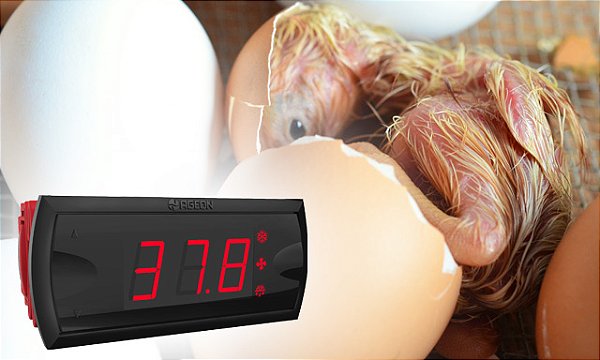 Controlador de Umidade e Temperatura K103PID-U para Incubadoras e Chocadeiras