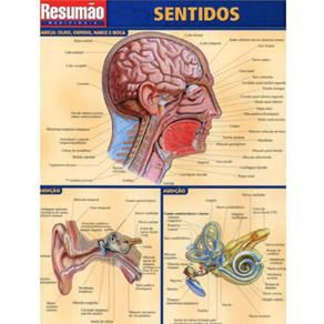Livro Sentidos Resumao - Barros