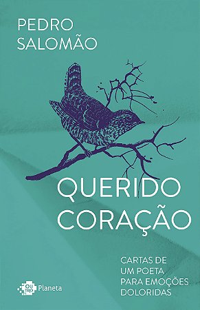 Livro Querido Coração: Cartas de Um Poeta para Emoções Doloridas   Salomão