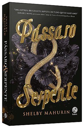 Livro Passaro e Serpente: Vol. 1 - Mahurin