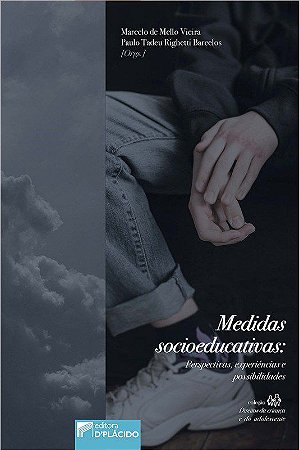 Livro Medidas Socioeducativas: Perspectivas, Experiencias e Possibilidades. - Vieira / Barcelos
