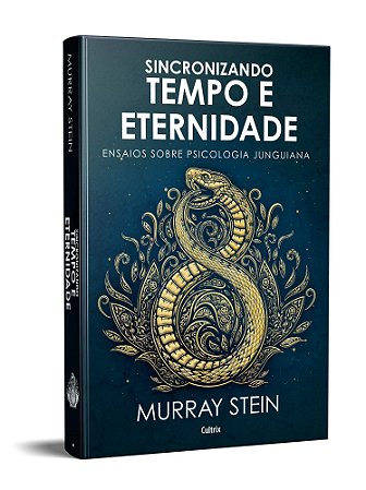 Livro Sincronizando Tempo e Eternidade - Stein