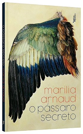 Livro Pássaro Secreto - Arnaud - José Olympio