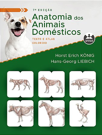 Livro Anatomia dos Animais Domésticos: Texto e Atlas Colorido Konig