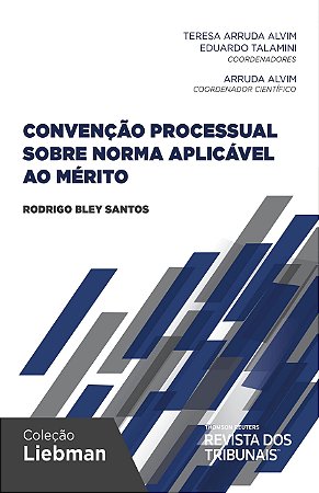 Livro Convencao Processual sobre Norma Aplicavel ao Merito - Santos