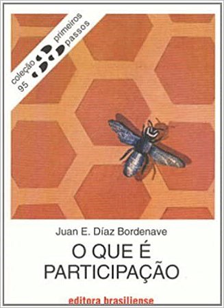 Livro Que e Participacao, O - Bordenave
