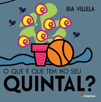 Livro Que é Que Tem No Seu Quintal - Villela - Moderna