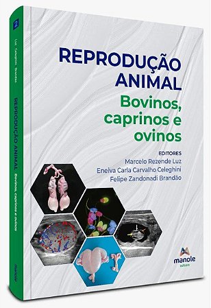 Livro Reprodução Animal vol 2  : Bovinos, Ovinos e Caprinos - Luz - Manole