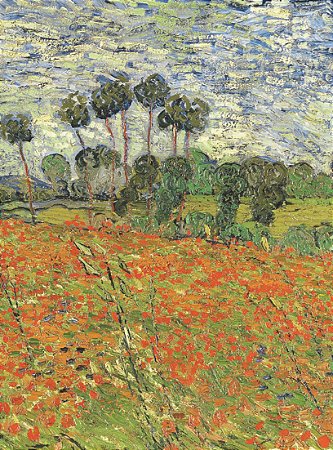 Livro Biologia Vegetal  Raven