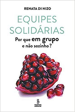Livro Equipes Solidarias - por Que em Grupo e Nao Sozinho - Nizo