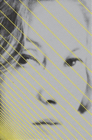 Livro Todas as Crônicas Clarice Lispector