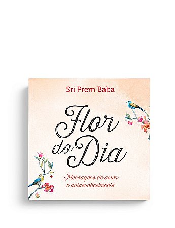 Livro Flor do Dia - Baba