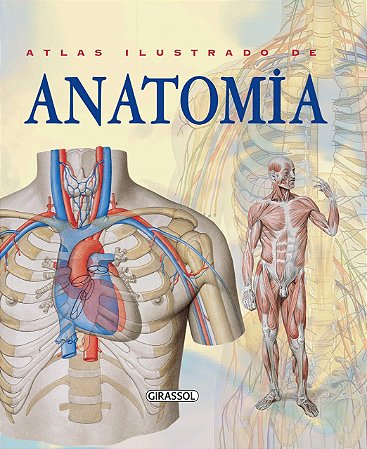 Livro Atlas Ilustrado de Anatomia - Rigutti - Girassol