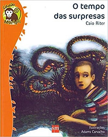 Livro O Tempo das Surpresas