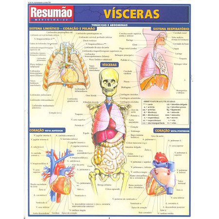 Livro Visceras - Colecao Resumao - Varios Autores