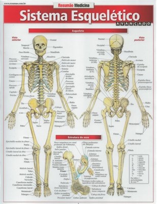 Livro Resumão Sistema Esquelético Avancado - Barros