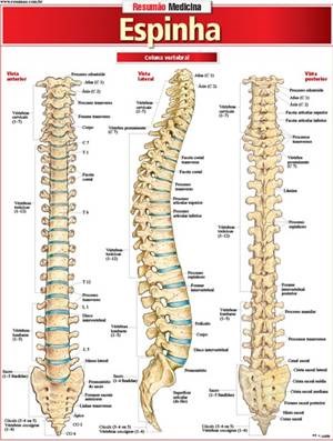 Livro Resumao Medicina - Espinha - Barros / Fisher