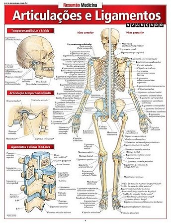 Livro Resumão Medicina Articulações e Ligamentos Avançado