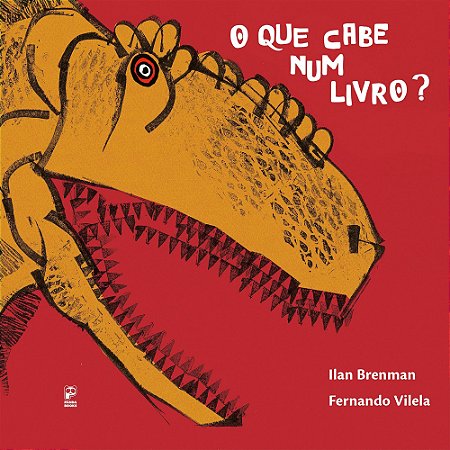 O Que Cabe Num Livro - Ilan Brenman - Panda Books