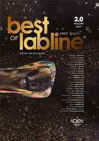 Livro Best Of Labline - Year Book - Vol.2 - Blasi/bologna/torosi