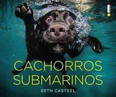 Livro Cachorros Submarinos - Intrinseca