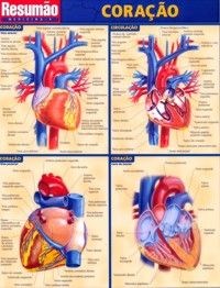 Livro Coracao Resumao - Barros