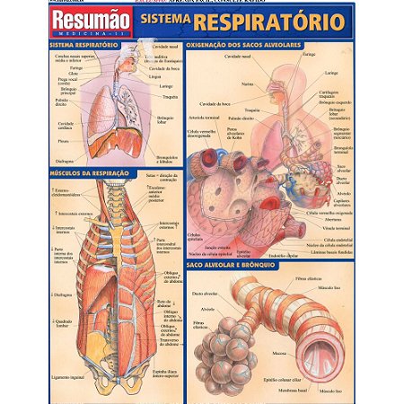 Livro Sistema Respiratorio Resumao - Barros