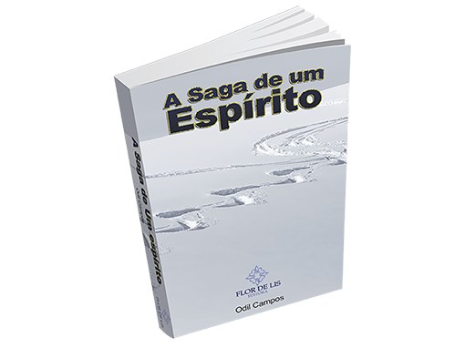 Livro A Saga de Um Espírito