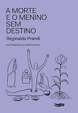 Livro A Morte e o menino sem destino